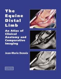 Book Cover for The Equine Distal Limb by JeanMarie Denoix