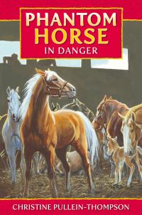 Book Cover for Phantom Horse in Danger by Christine PulleinThompson