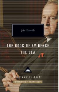 Book Cover for The Book of Evidence by John Banville, John Banville