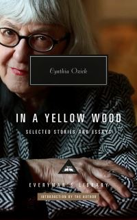 Book Cover for In a Yellow Wood by Cynthia Ozick