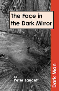 Book Cover for The Face in the Dark Mirror by Peter Lancett, Jan Pedroietta