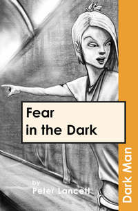 Book Cover for Fear in the Dark by Peter Lancett, Jan Pedroietta