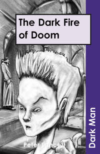 Book Cover for The Dark Fire of Doom by Peter Lancett, Jan Pedroietta