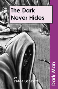 Book Cover for The Dark Never Hides by Peter Lancett, Jan Pedroietta