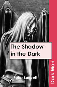 Book Cover for The Shadow in the Dark by Peter Lancett, Jan Pedroietta