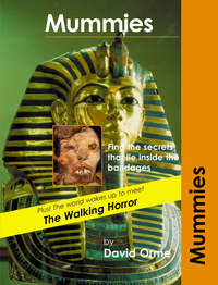 Book Cover for Mummies by David Orme