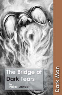 Book Cover for The Bridge of Dark Tears by Peter Lancett