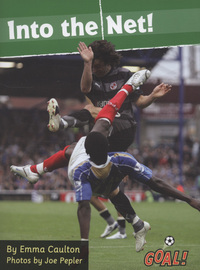 Book Cover for Into the Net! by Emma Caulton, Joe Pepler