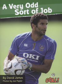 Book Cover for A Very Odd Sort of Job by David James, Joe Pepler