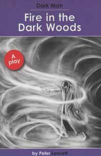 Book Cover for Fire in the Dark Woods by Peter Lancett, Jan Pedroietta