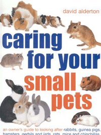 Book Cover for Caring for Your Small Pets by David Alderton