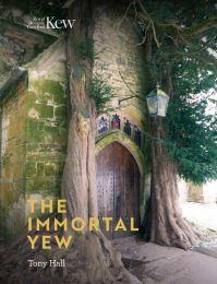 Book Cover for The Immortal Yew by Tony Hall, Kew Royal Botanic Gardens