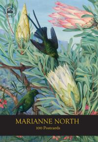Book Cover for Marianne North 100 Postcards by Kew Royal Botanic Gardens