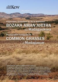 Book Cover for Field Guide of Common Grasses of Madagascar by Nantenaina Rakotomalala, Fenitra Randrianarimanana