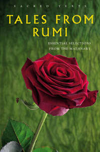 Book Cover for Tales from Rumi by Jalal alDin Rumi