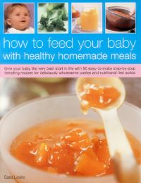 Book Cover for Healthy Baby Meal Planner by Sara Lewis
