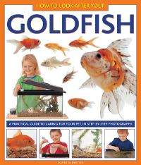 Book Cover for How to Look After Your Goldfish by David Alderton