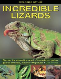 Book Cover for Incredible Lizards by Mark OShea