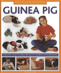 Book Cover for How to Look After Your Guinea Pig by David Alderton
