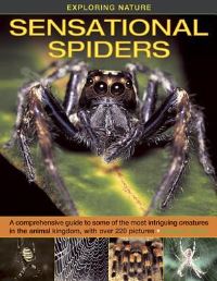 Book Cover for Sensational Spiders by Barbara Taylor