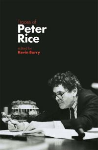 Book Cover for Traces of Peter Rice by Kevin Barry