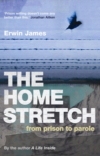 Book Cover for The Home Stretch by Erwin James