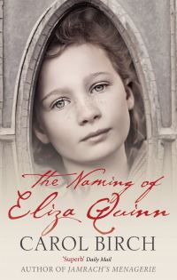 Book Cover for The Naming of Eliza Quinn by Carol Birch