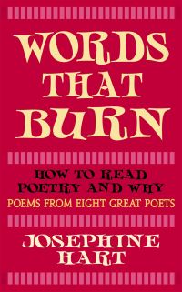 Book Cover for Words That Burn by Josephine Hart