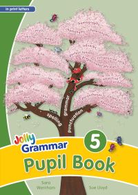 Book Cover for Grammar 5 Pupil Book by Sara Wernham, Sue Lloyd