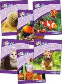 Book Cover for Jolly Phonics Readers Level 5, Our World by Louise VanPottelsberghe