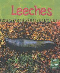 Book Cover for Leeches by Lola M. Schaefer