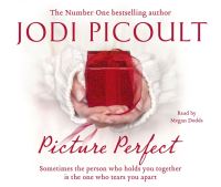Book Cover for Picture Perfect by Jodi Picoult
