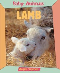 Book Cover for Lamb by Angela Royston