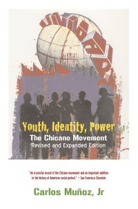 Book Cover for Youth, Identity, Power by Carlos Muñoz