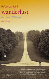 Book Cover for Wanderlust by Rebecca Solnit