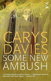 Book Cover for Some New Ambush by Carys Davies