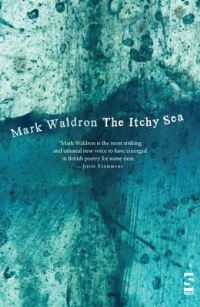 Book Cover for The Itchy Sea by Mark Waldron