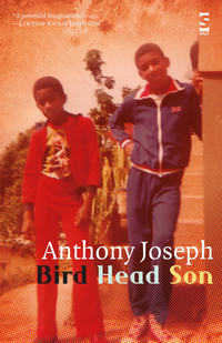Book Cover for Bird Head Son by Anthony Joseph