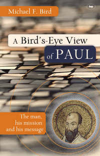 Book Cover for A Bird's-Eye View of Paul by Michael F Bird