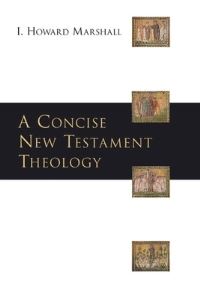 Book Cover for A Concise New Testament Theology by I Howard Marshall