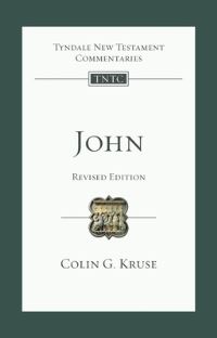 Book Cover for John by Rodney A Whitacre