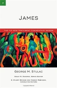 Book Cover for James by George M Stulac