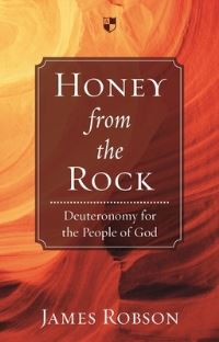 Book Cover for Honey from the Rock by James Robson