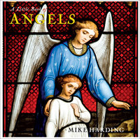 Book Cover for A Little Book of Angels by Mike Harding