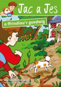 Book Cover for Jac a Jes a Ffrindiau'r Goedwig by Christa Richardson, Richard Huw Pritchard