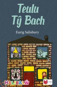 Book Cover for Teulu TÒy Bach by Eurig Salisbury