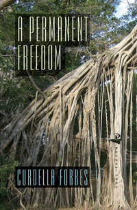 Book Cover for A Permanent Freedom by Curdella Forbes