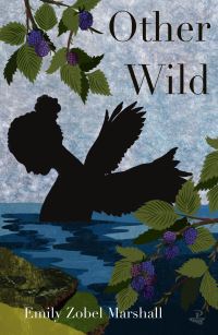 Book Cover for Other Wild by Emily Zobel Marshall