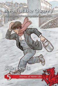 Book Cover for A Fall at the Quarry by Siân Lewis, Robin Lawrie