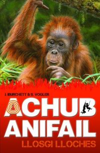 Book Cover for Llosgi Lloches by Jan Burchett, Sara Vogler